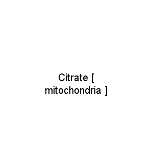 Citrate [ mitochondria ]